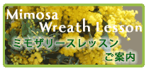 ミモザリースレッスンご案内